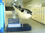 20060606_2