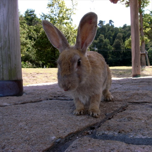 20080825_9