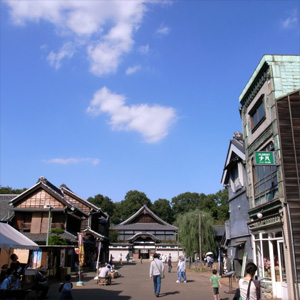 20081013_5