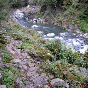 20081026_8