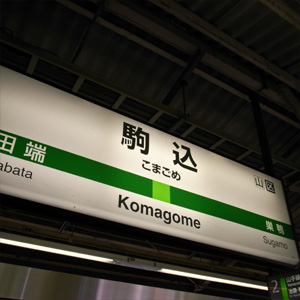 20081130