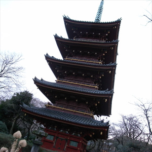 20090215_6