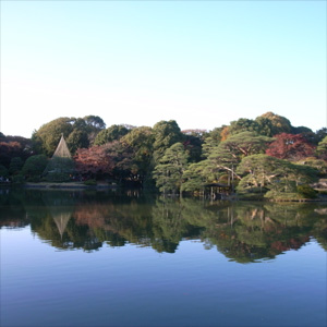 20091123_3