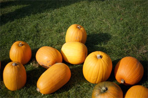 20101023_2