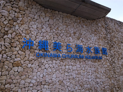 20110219_8