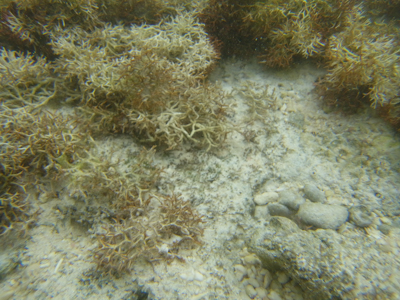20120519_16