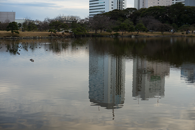 浜離宮