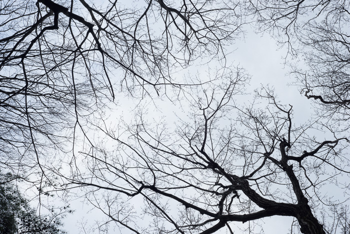空