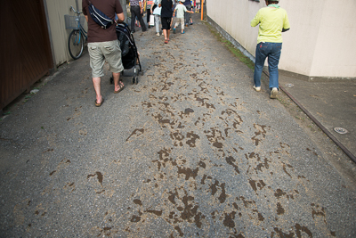 道路