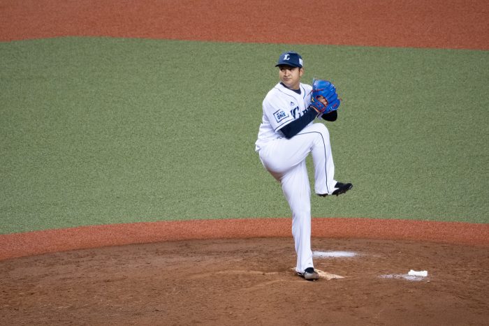 佐野 泰雄