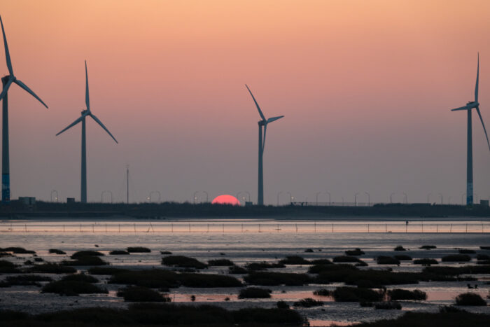 高美湿地