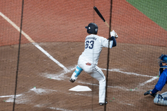 長谷川 信哉
