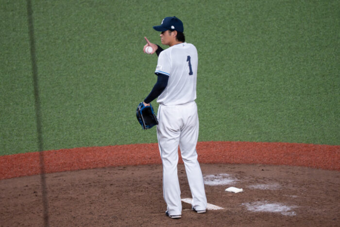 甲斐野 央