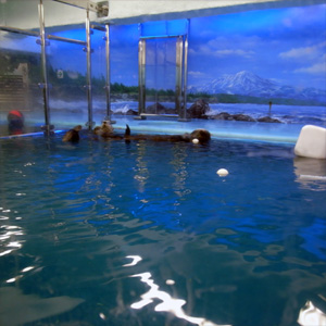 20080720_3