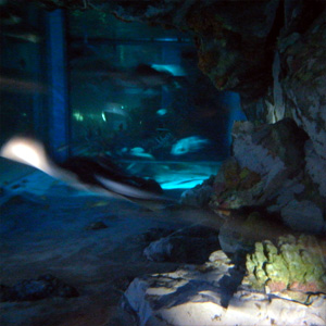 20080720_4
