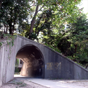 20080825_10