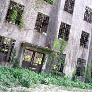 20080825_11