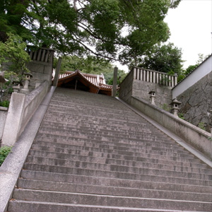 20080825_3