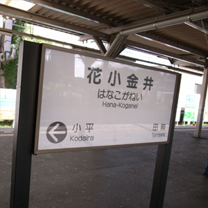 20081013_1