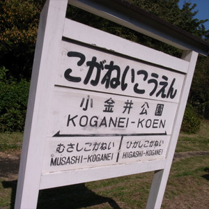 20081013_2