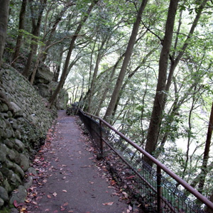 20081026_2