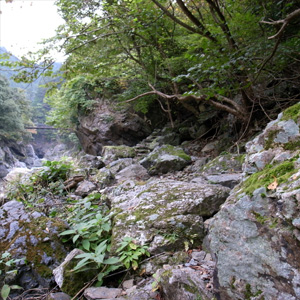 20081026_3