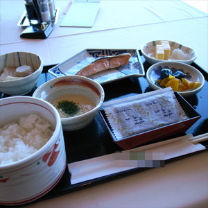 20081123_1