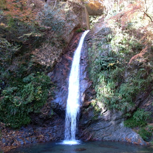 20081123_2