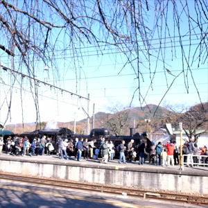 20081123_3
