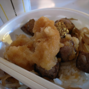 20081229_4