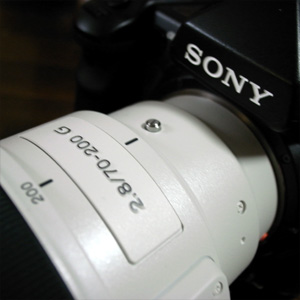 SONYのレンズを買ってみた