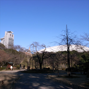20090208_2