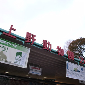 20090215_7