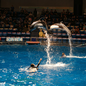 20090222_5