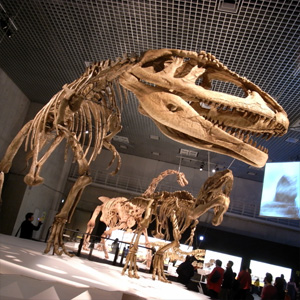 20090320_2