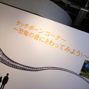 20090320_3