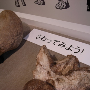 20090320_4