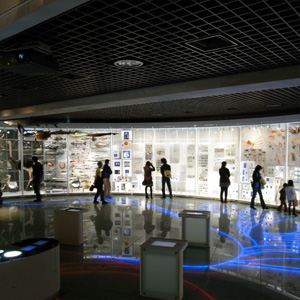 20090320_5