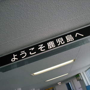 屋久島行ってみた(屋久島1日目)
