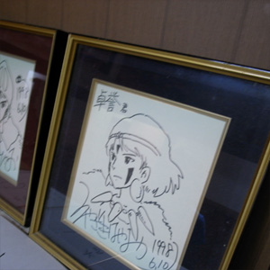 「もののけ姫」を探しに「白谷雲水峡」へ行ってみた(屋久島2日目)