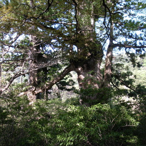 20090510_10
