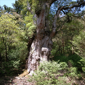 20090510_11