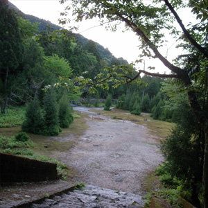 20090510_2