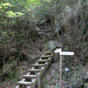 20090510_6