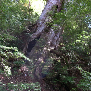 20090510_9