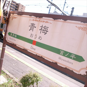 臨時快速「おくたま紅葉号」で行く「奥多摩周辺」の旅