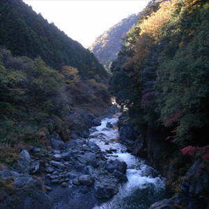 20091115_6