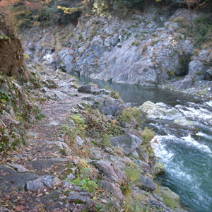 20091115_7