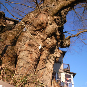 20100101_10