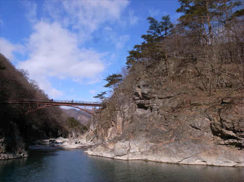 20100124_3